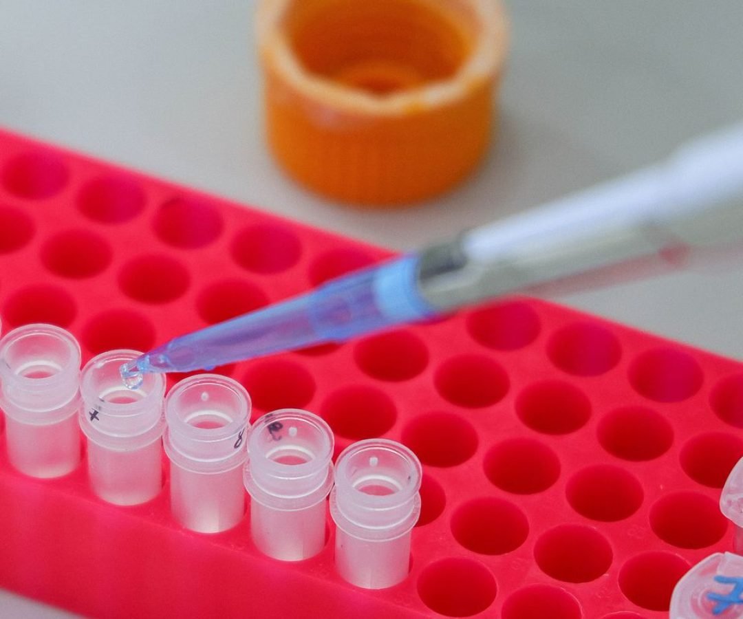 OMS aponta que estudo do genoma se concentra em países de alta renda