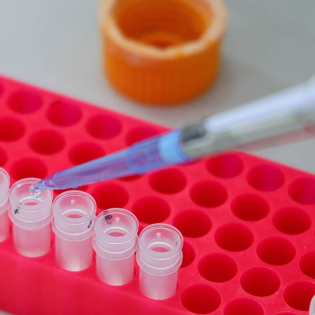 OMS aponta que estudo do genoma se concentra em países de alta renda