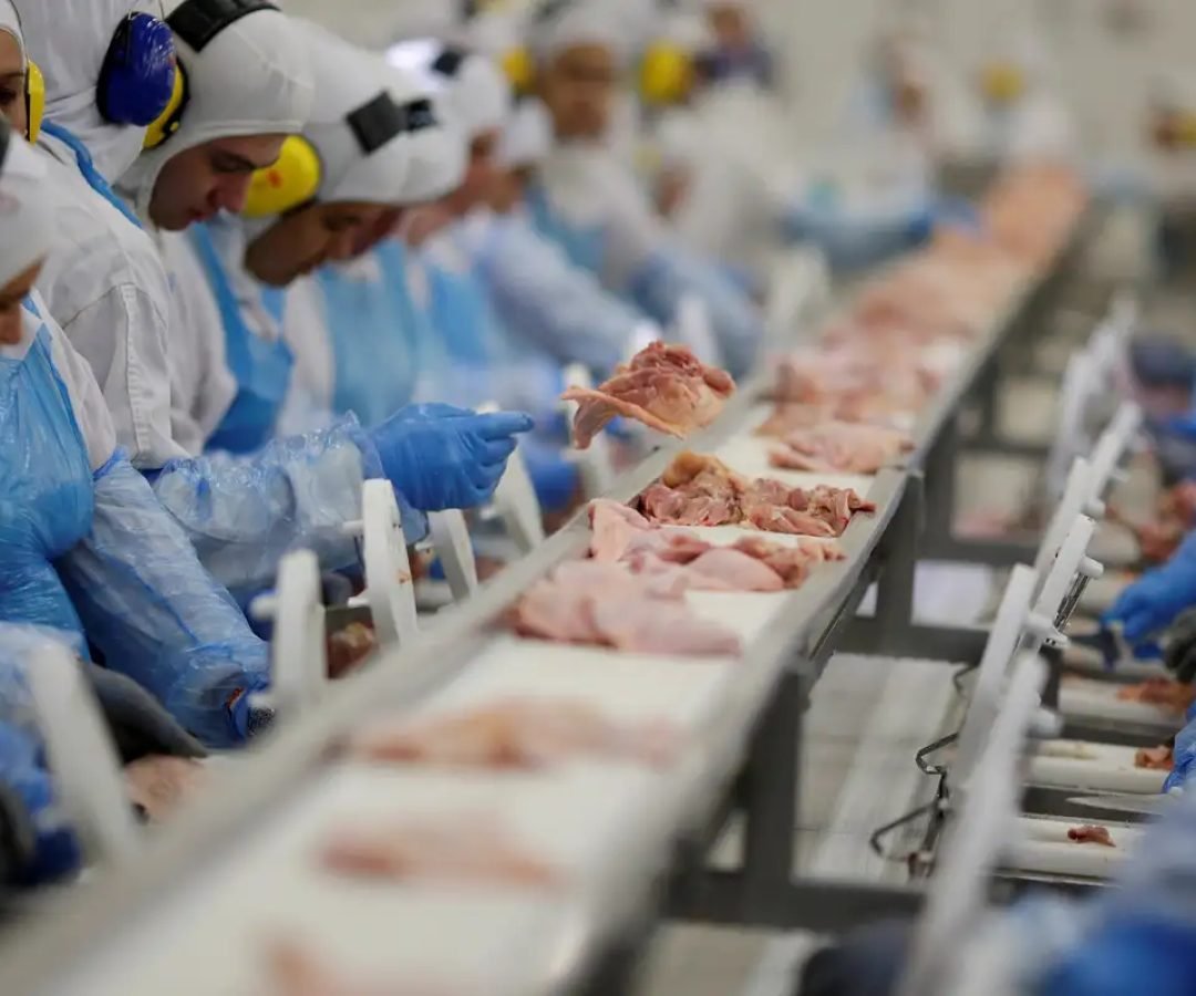 © REUTERS/Ueslei Marcelino/Proibido reprodução